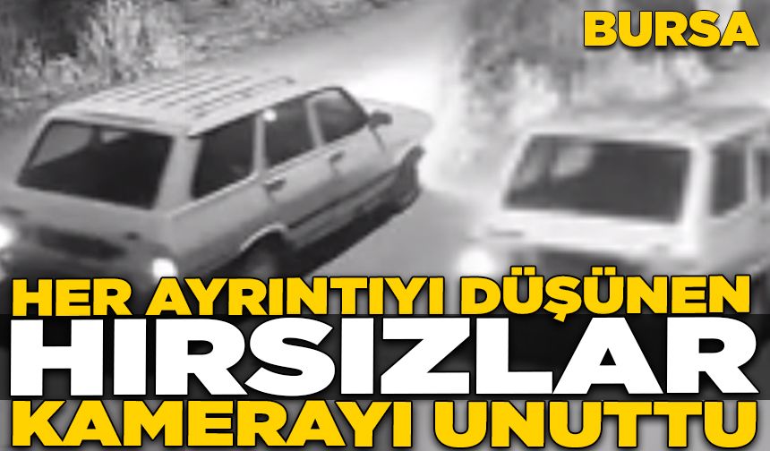 Bursa'da otomobil ve motosiklet çalan hırsızlar yakayı ele verdi