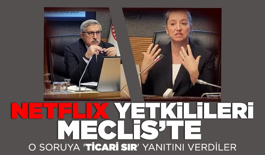 Netflix yetkilileri TBMM'de sunum yaptı! O soruya 'ticari sır' yanıtını verdiler