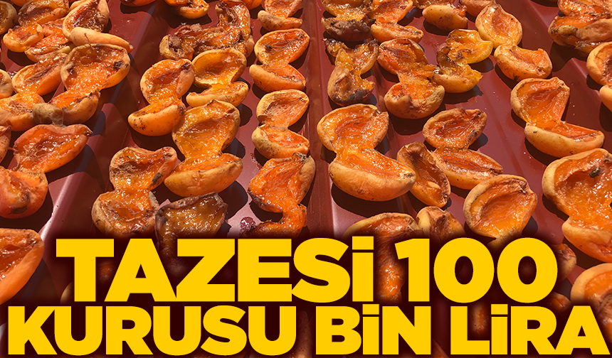 Tazesi 100 kurusu bin lira