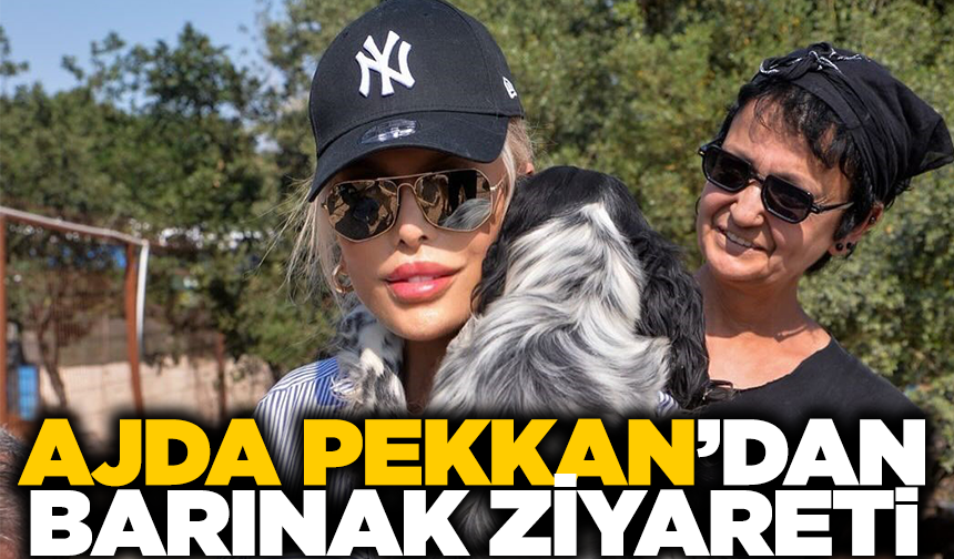 Süperstar Ajda'dan Bursa'da barınak ziyareti
