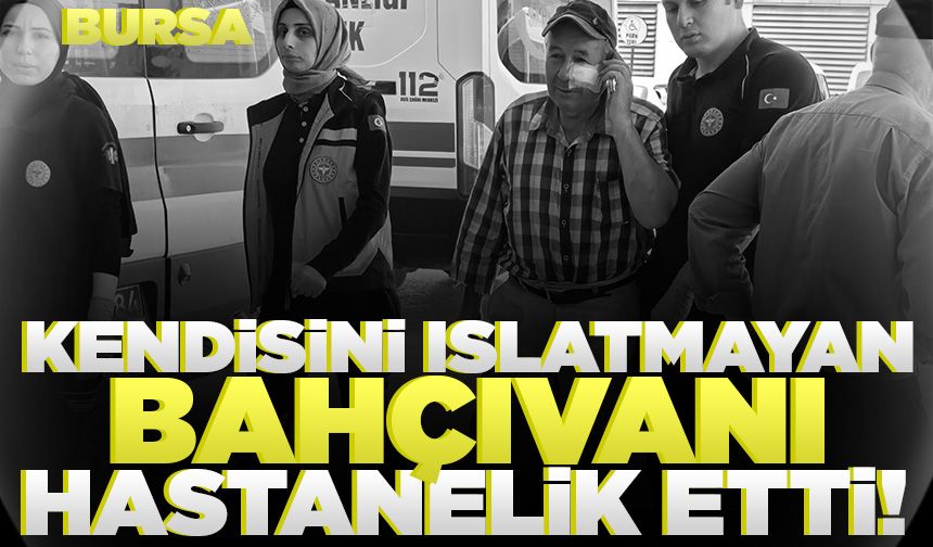 Bursa'da kendini serinletmeyen bahçıvanı darp etti