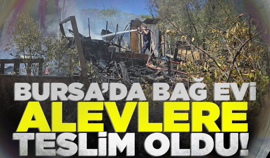 Bursa’da bağ evi alevlere teslim oldu