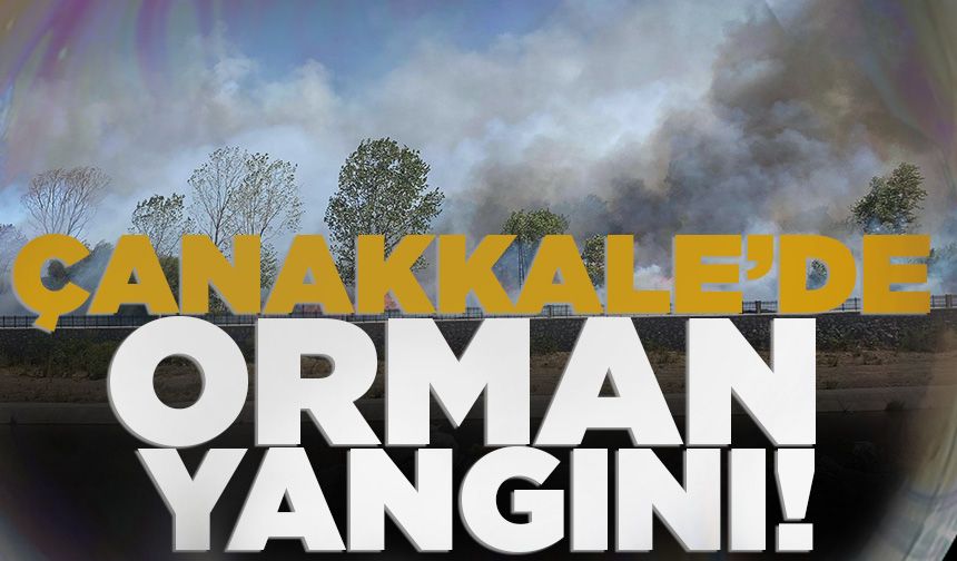 Çanakkale'de orman yangını! Vatandaşlara "sokağa çıkmayın" uyarısı