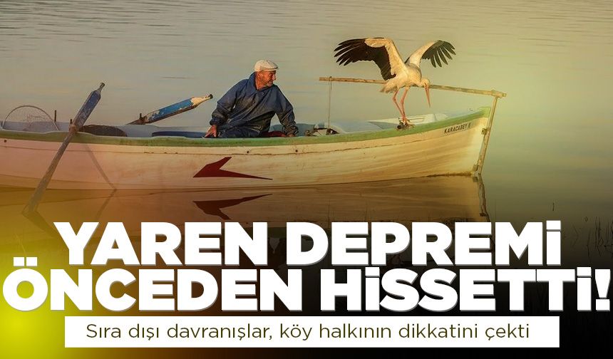 Bursa'da Yaren Leylek depremi önceden hissetti