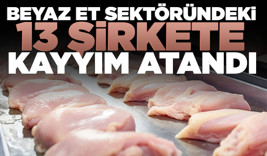 Beyaz et sektöründeki 13 şirkete kayyım atandı