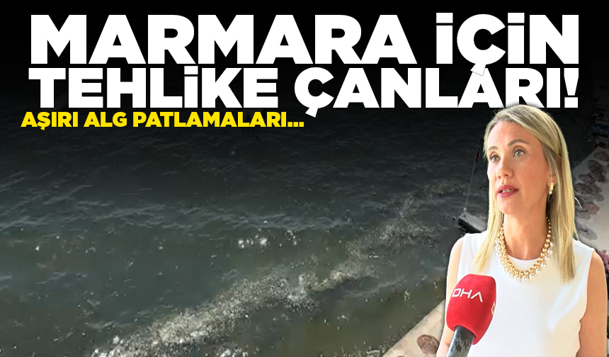 Marmara için tehlike çanları! Alg patlaması müsilajın habercisi...