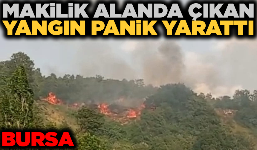 Makilikte çıkan yangın söndürüldü