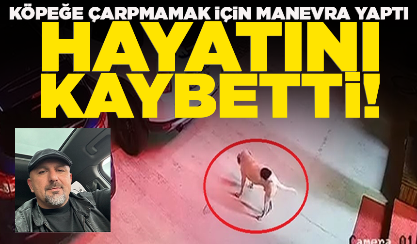 Köpeğe çarpmamak için manevra yaptı, hayatını kaybetti