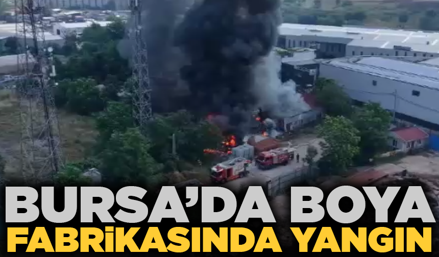 Bursa'da boya imalathanesinde yangın