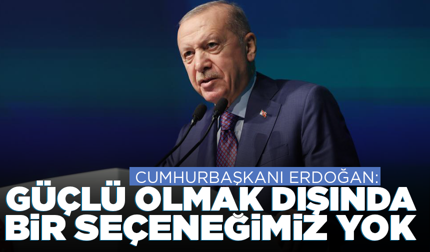 Cumhurbaşkanı Erdoğan: Güçlü olmak dışında bir seçeneğimiz yok