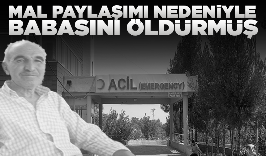Mal paylaşımı nedeniyle babasını öldürmüş