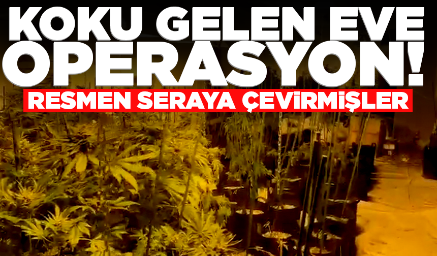 Koku gelen eve operasyon: Seraya çevirmişler