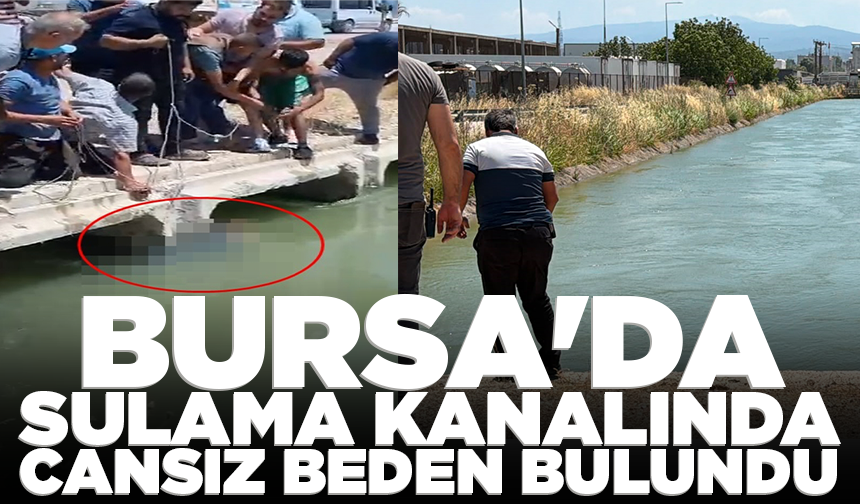 Bursa'da sulama kanalında cansız beden bulundu