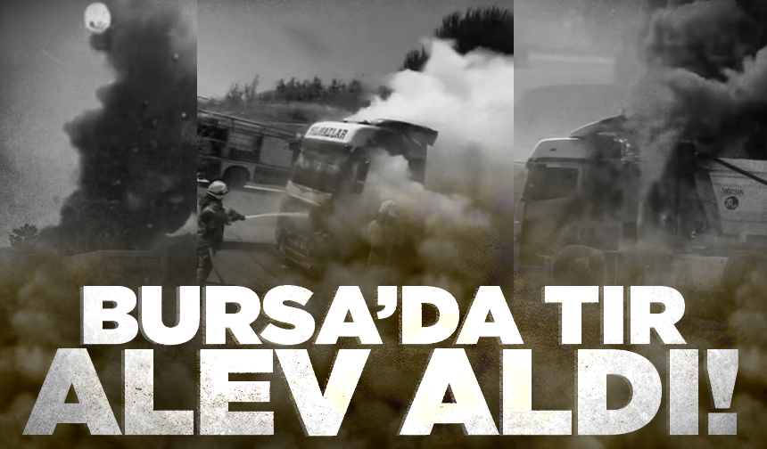 Bursa'da seyir halindeyken alev alan tır kül oldu
