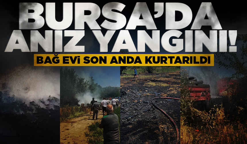 Bursa'da anız yangını! Bağ evi son anda kurtarıldı