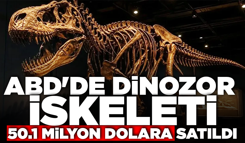 Rekor fiyat! ABD'de dinozor iskeleti 50.1 milyon dolara satıldı