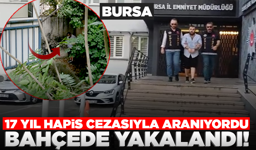 Bursa'da 17 yıl hapis cezasıyla aranıyordu, bahçede saklanırken yakalandı