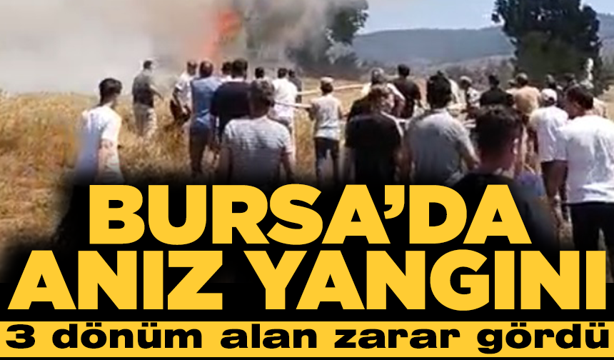 Bursa’da, anız yangınında 3 dönüm alan zarar gördü