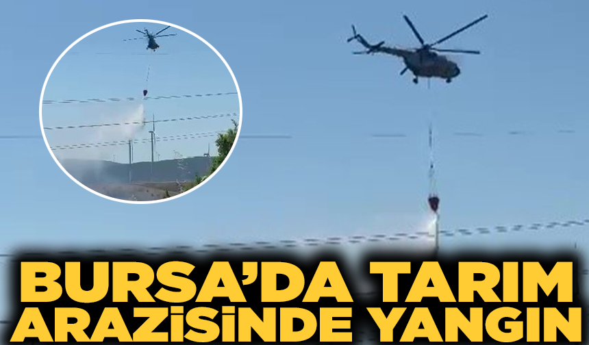 Karacabey'de engebeli arazide yangın