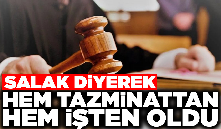 Mesai arkadaşına ‘salak’ dedi hem işten hem tazminattan oldu
