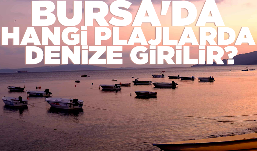 Bursa'nın sahillerinden Temmuz ayında da sevindiren haber
