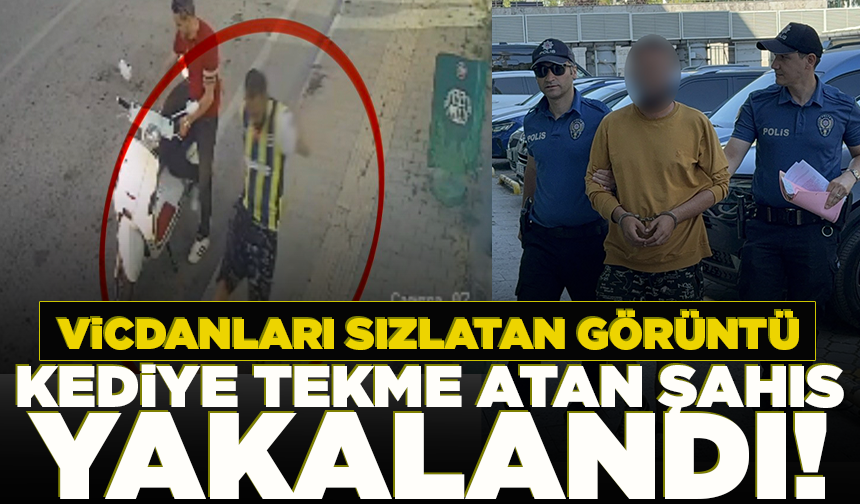 Kediye tekme atarken kameraya yansıyan şahıs yakalandı