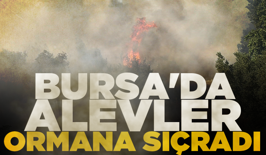 Bursa'da çöplükte başlayan alevler ormana sıçradı