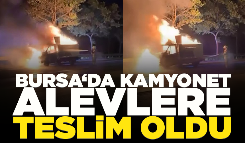 Bursa'da kamyonet alevlere teslim oldu