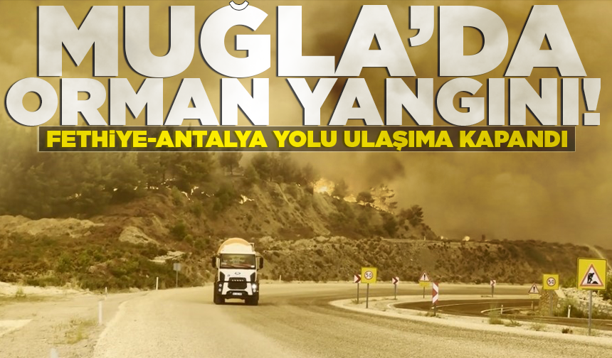 Muğla Seydikemer'de orman yangını rüzgarla büyüdü: Alevlerle mücadele sürüyor