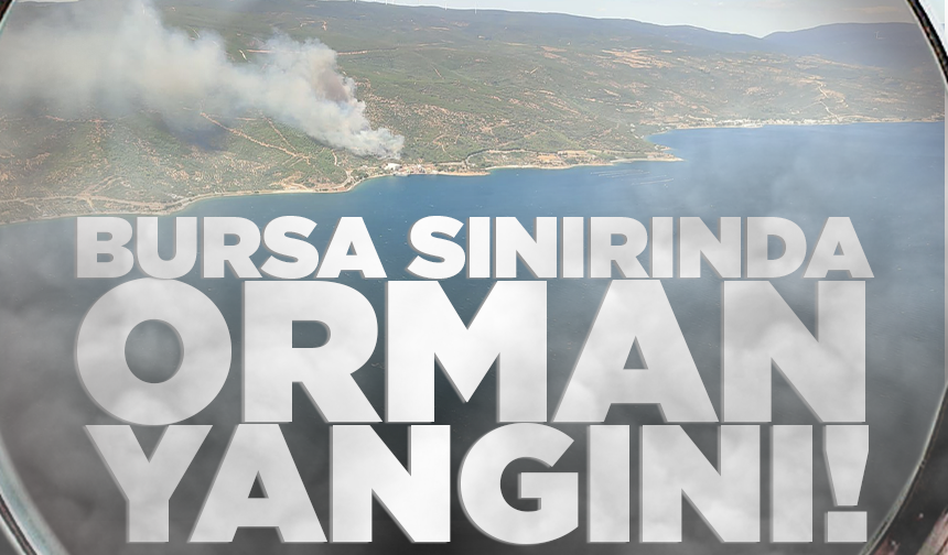 Bursa sınırında orman yangını