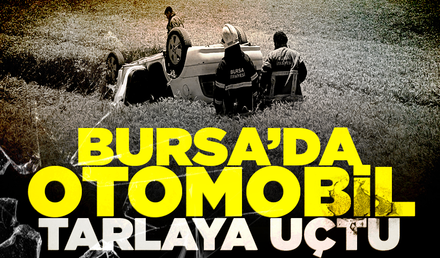 Bursa'da buğday tarlasına uçan otomobilin sürücüsü yaralandı
