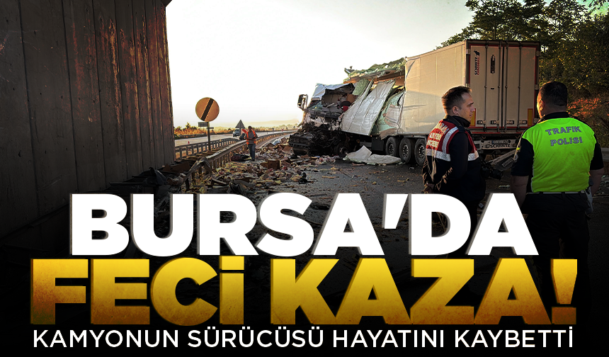 Bursa'da feci kaza! Tavuk eti yüklü kamyonun sürücüsü hayatını kaybetti
