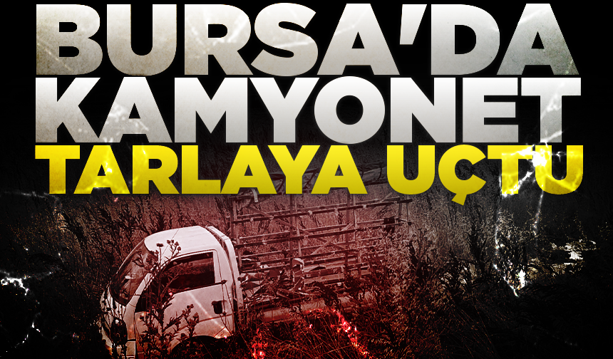 Bursa'da kamyonet tarlaya uçtu: Sürücü yaralandı