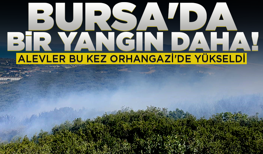 Bursa'da bir yangın daha! Alevler bu kez Orhangazi'de yükseldi