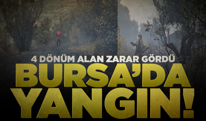 Bursa'da yangın! 4 dönüm alan zarar gördü