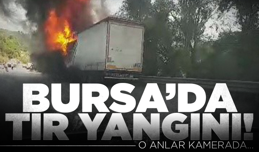 Bursa Gemlik'te tır yangını