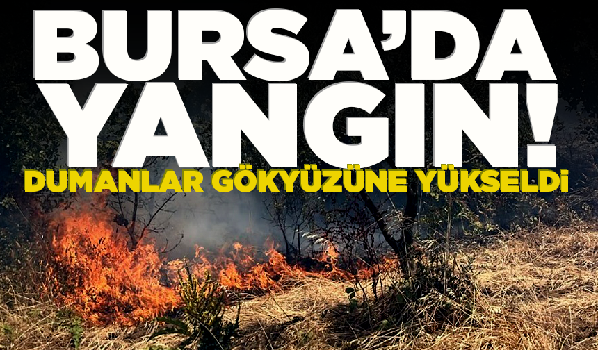 Bursa'da alevler, ormana sıçramadan söndürüldü