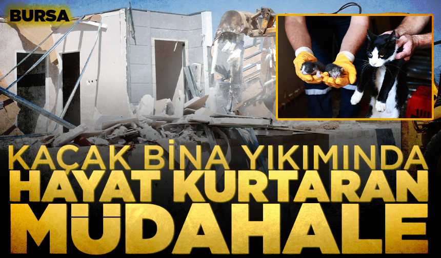 Bursa'da kaçak bina yıkımında hayat kurtaran müdahale