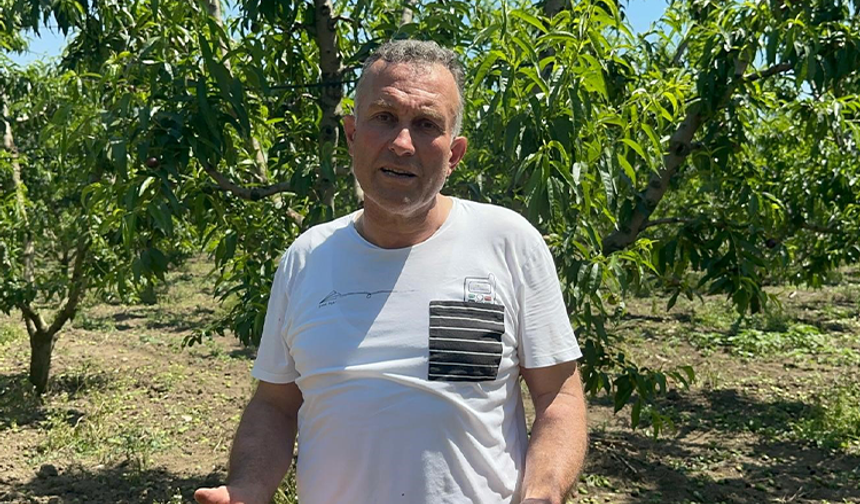 Sıfır kimyasal sıfır maliyet: Bedava hayvansal gübreyle üretim yapıyor