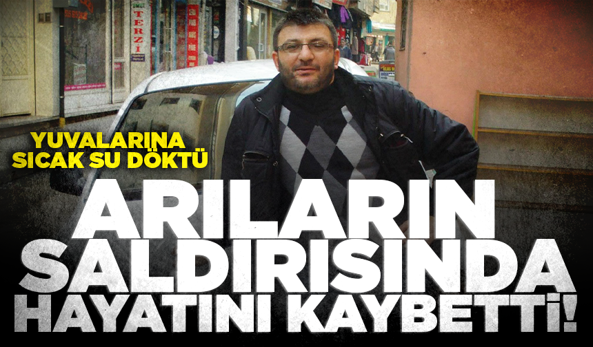 Yuvasına sıcak su döktüğü arıların soktuğu kişi öldü