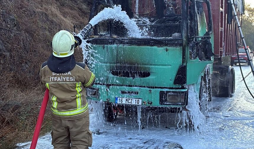 Talaş yüklü tır alevlere teslim oldu