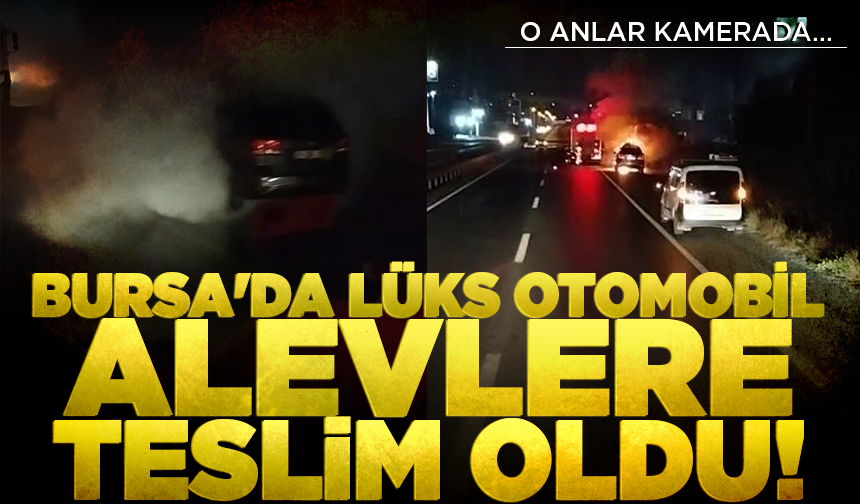 Bursa'da lüks otomobil alevlere teslim oldu
