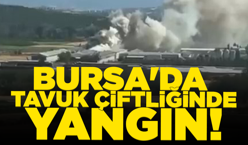 Bursa'da tavuk çiftliğinde yangın