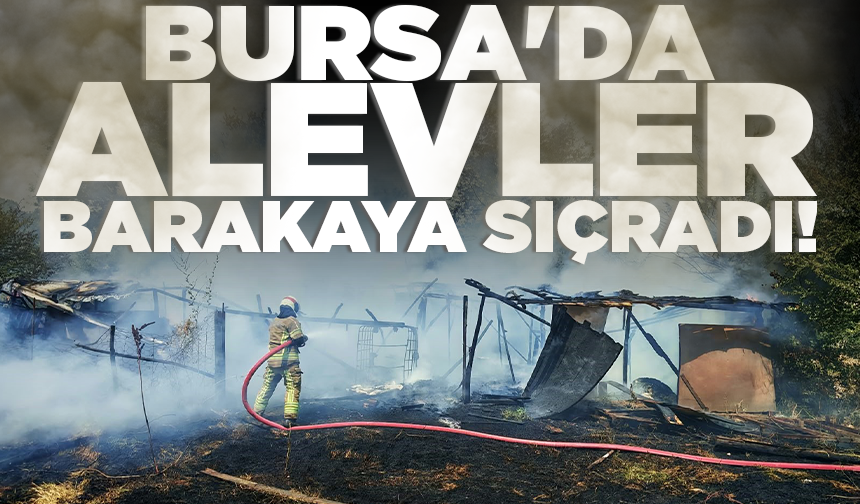 Bursa'da alevler barakaya sıçradı! Dumanlar yükseldi...