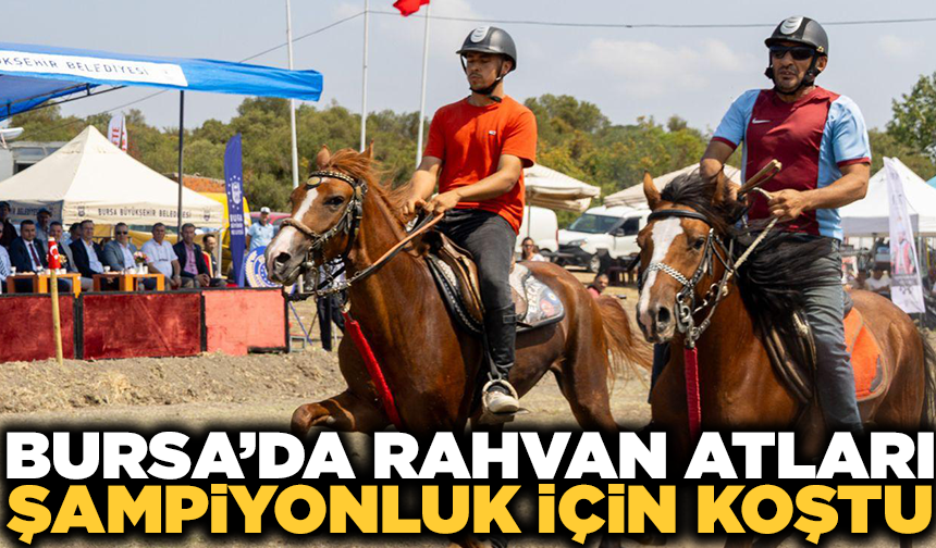 Bursa’da rahvan atları şampiyonluk için koştu