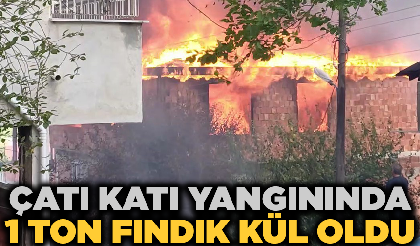 Ordu'da çatı katı yangınında 1 ton fındık küle döndü