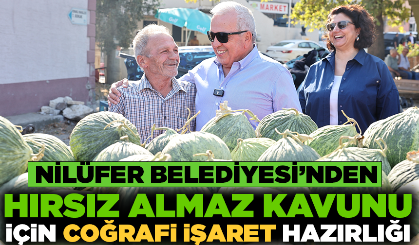 Nilüfer Belediyesi’nden “Hırsız Almaz Kavunu” için coğrafi işaret hazırlığı