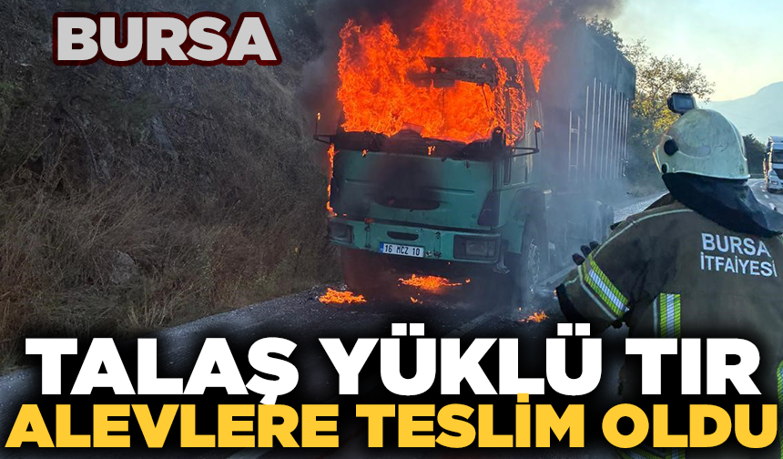 Talaş yüklü tır alevlere teslim oldu