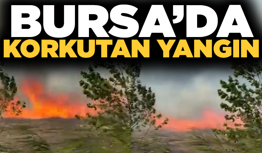 Bursa'da fabrikanın yanındaki arazide korkutan yangın