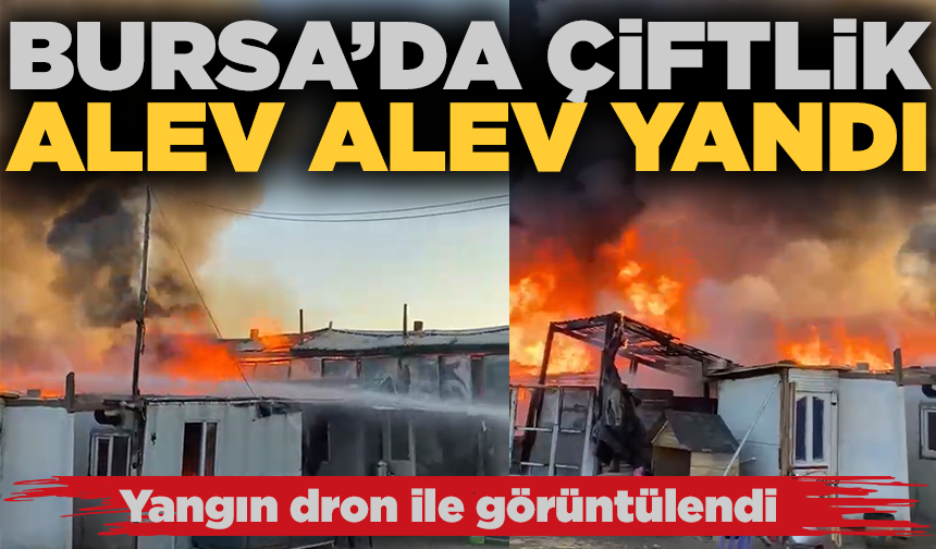 Bursa'da çiftlik alev alev yandı: Olay yeri dron ile görüntülendi